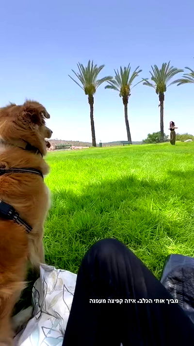 biton__adi biton__adi archive video