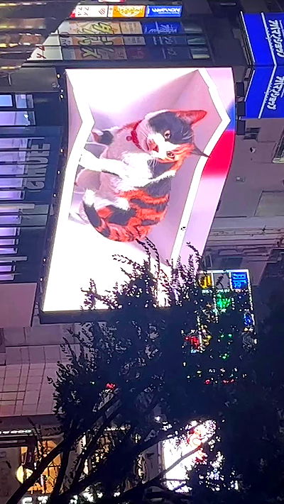 ormosheee ormosheee archive video