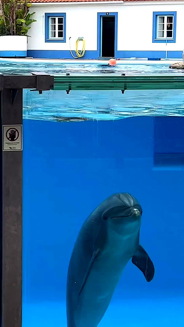 emily.otaku archive video preview