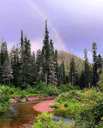 rachelc00k rachelc00k archive video