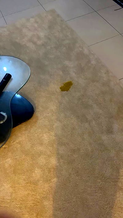 yannaidebeer yannaidebeer archive video