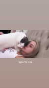 lisush_9 Altpins Profile Picture