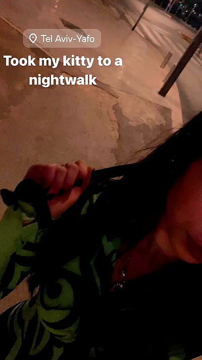 seilorkittyofficial seilorkittyofficial archive video