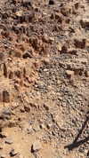 sapir_shemer Altpins Profile Picture