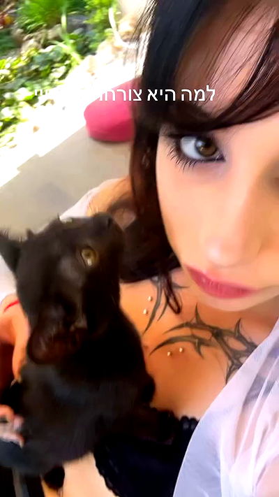 xzot1_met4xx xzot1_met4xx archive video