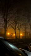 protheme Altpins Profile Picture