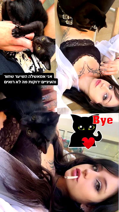 xzot1_met4xx xzot1_met4xx archive video