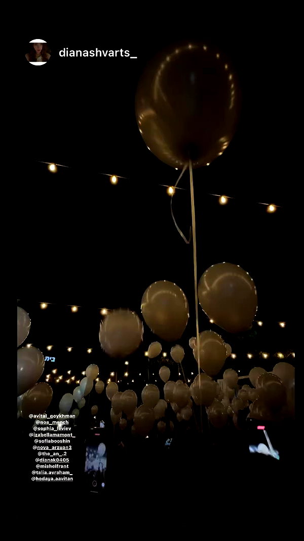 sofiabooshin archive video preview