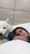 dianavgalvis Altpins Profile Picture