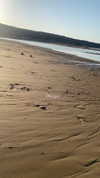 alexandra_stmtk Altpins Profile Picture