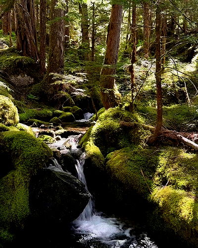 rachelc00k rachelc00k archive video