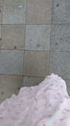 bunny_alina_kim Altpins Profile Picture