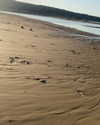 alexandra_stmtk Altpins Profile Picture