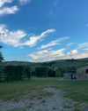 yaheli_ovadya Altpins Profile Picture