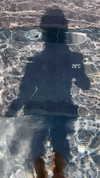 shir_revivo1 Altpins Profile Picture