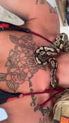 everyonelovessi Altpins Profile Picture