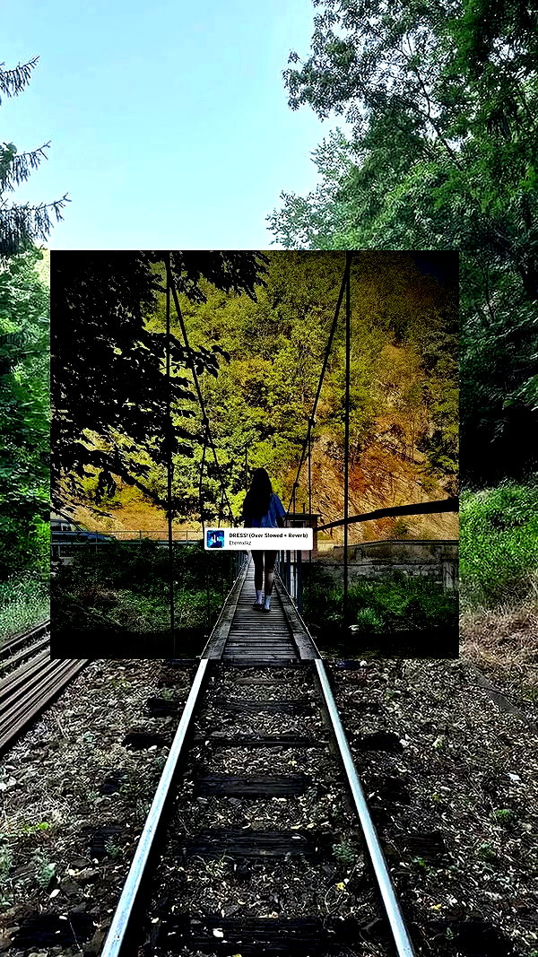 sapi.rberger archive video preview