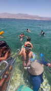 sofiya.pl Altpins Profile Picture