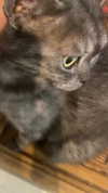 xxk1tty4nnaxx Altpins Profile Picture
