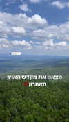 chen_partouche Altpins Profile Picture