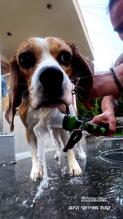 emily.otaku emily.otaku archive video