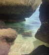 anika.wicks Altpins Profile Picture