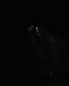 emilyymcwilliam Altpins Profile Picture