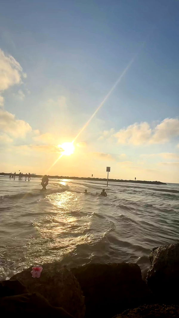 zlata_shipulin archive video preview