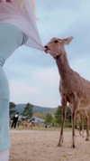 kim_elflina Altpins Profile Picture