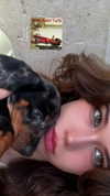 daniela.pritika Altpins Profile Picture