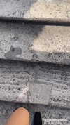 galsverchik1 Altpins Profile Picture