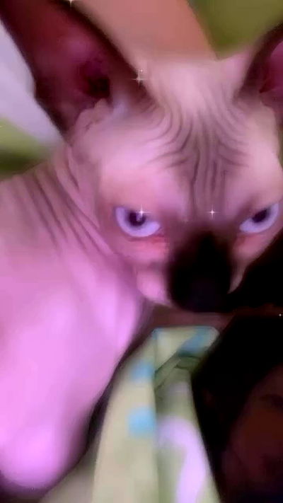 dustheadd dustheadd archive video