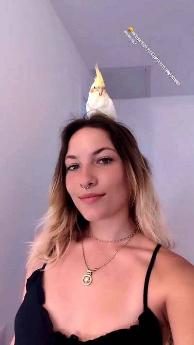 tinapavlov.sky tinapavlov.sky archive video