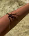 noa_mendel_ Altpins Profile Picture