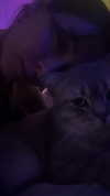 natahalieeee Altpins Profile Picture