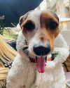 msss______britnnny Altpins Profile Picture