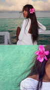 saratherefe Altpins Profile Picture