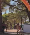 _lironatias Altpins Profile Picture