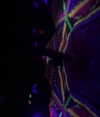 _lironatias Altpins Profile Picture