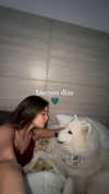 dianavgalvis Altpins Profile Picture
