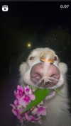 natahalieeee Altpins Profile Picture
