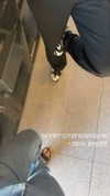 elika_shev Altpins Profile Picture