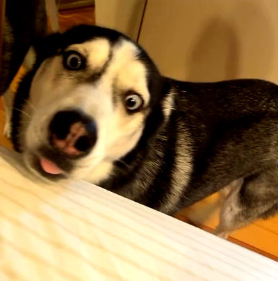 v.qx v.qx archive video