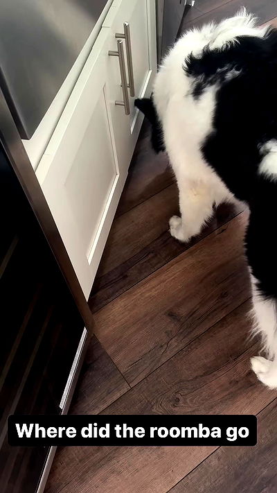 flarebahr flarebahr archive video