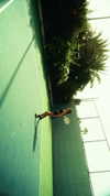 gal_ifrah Altpins Profile Picture