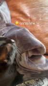 natahalieeee Altpins Profile Picture