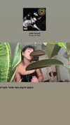 romy_lavi Altpins Profile Picture