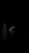 noa_freund Altpins Profile Picture