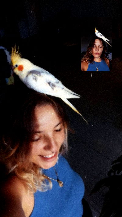 tinapavlov.sky tinapavlov.sky archive video