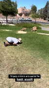 sapir_shemer Altpins Profile Picture